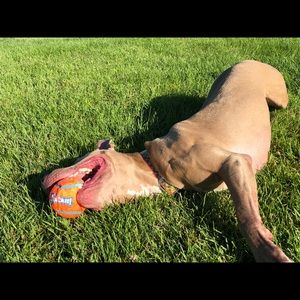 Meet your Posher, Andrew